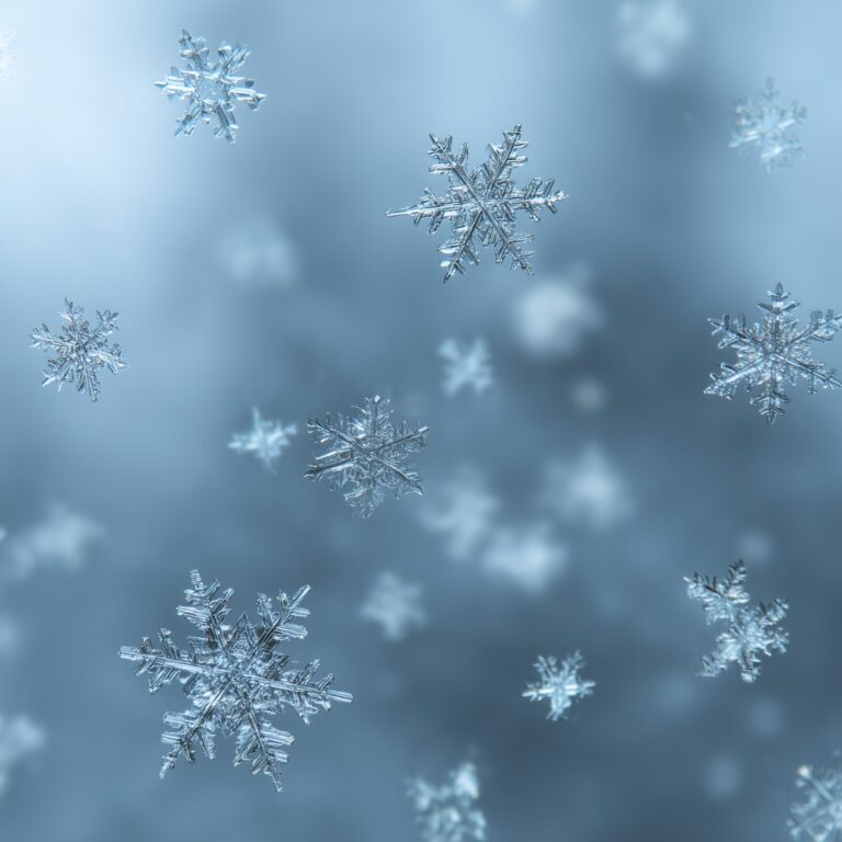 Common Pitfalls in Snowflake Partnerships – and How to Avoid Them